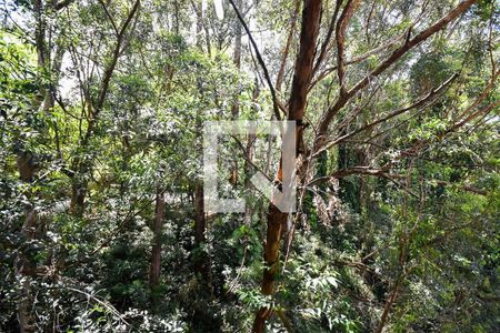 Vista de apartamento à venda com 2 quartos, 61m² em Vila Progredior, São Paulo