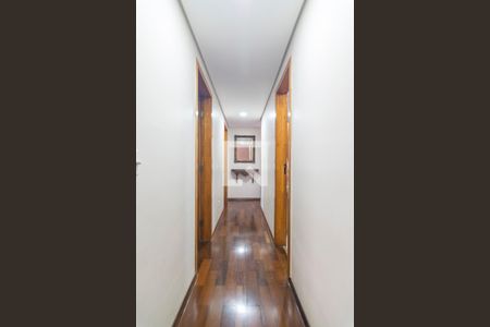 Corredor de apartamento para alugar com 3 quartos, 74m² em Vila Valparaíso, Santo André