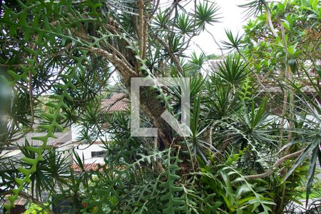 Casa à venda com 436m², 5 quartos e 2 vagas Casa à venda com 436m², 5 quartos e 2 vagasQuarto 3 vista