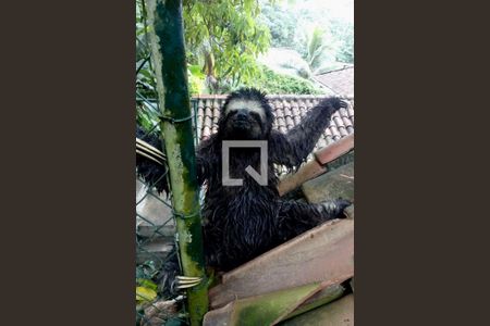 Casa à venda com 436m², 5 quartos e 2 vagas Casa à venda com 436m², 5 quartos e 2 vagasJardim