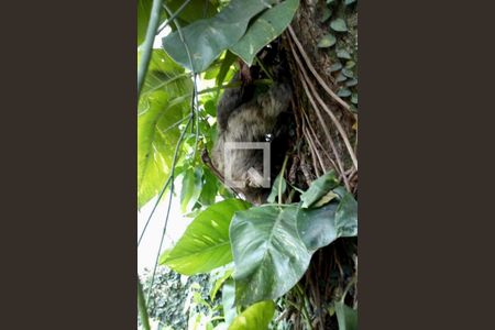 Casa à venda com 436m², 5 quartos e 2 vagas Casa à venda com 436m², 5 quartos e 2 vagasJardim