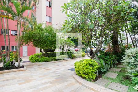 Área comum de apartamento para alugar com 2 quartos, 60m² em Planalto, São Bernardo do Campo