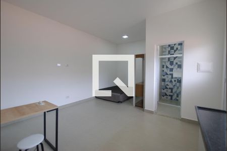 Kitnet/Studio para alugar com 1 quarto, 28m² em Vila Monumento, São Paulo
