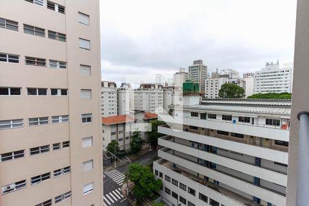 Apartamento para alugar com 25m², 1 quarto e sem vagaVista Varanda