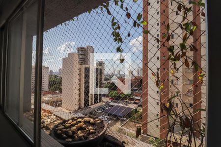 Vista da sala de apartamento para alugar com 3 quartos, 150m² em Setor Oeste, Goiânia