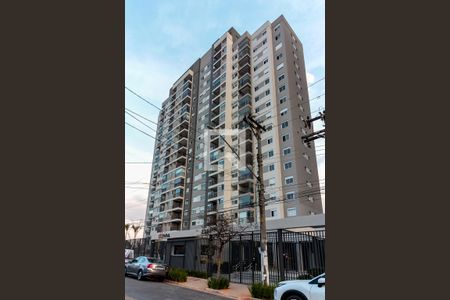 Fachada do Condomínio de apartamento à venda com 2 quartos, 93m² em Parque São Domingos, São Paulo