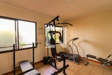 Apartamento à venda com 240m², 4 quartos e 4 vagasÁrea comum - Academia