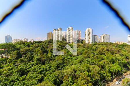 Apartamento à venda com 240m², 4 quartos e 4 vagasVista do Quarto 2