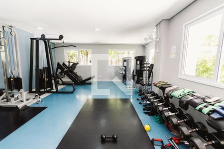 Apartamento para alugar com 74m², 2 quartos e 2 vagas Apartamento para alugar com 74m², 2 quartos e 2 vagasAcademia