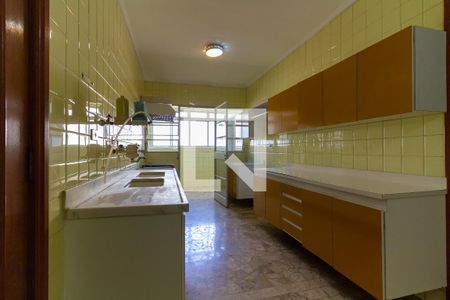 Apartamento à venda com 123m², 3 quartos e 1 vaga Apartamento à venda com 123m², 3 quartos e 1 vagaCozinha