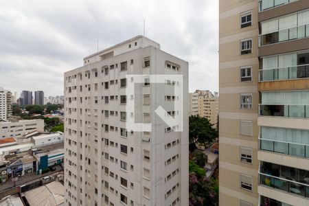 Vista de apartamento para alugar com 1 quarto, 43m² em Moema, São Paulo