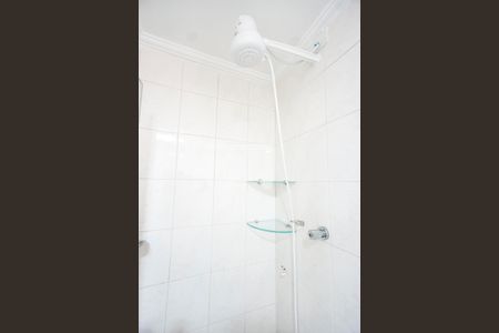 Chuveiro de apartamento para alugar com 2 quartos, 56m² em Vila Gomes Cardim, São Paulo