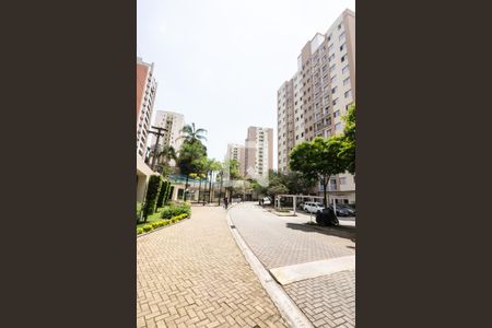 Area Comum de apartamento para alugar com 3 quartos, 58m² em Jardim das Vertentes, São Paulo