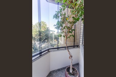 Varanda da Sala 1 de apartamento à venda com 4 quartos, 180m² em Fernão Dias, Belo Horizonte