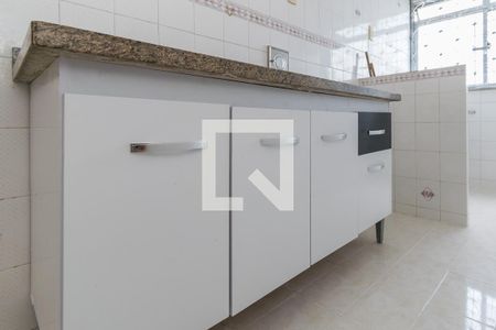Apartamento para alugar com 50m², 2 quartos e 1 vagaCozinha - Armários