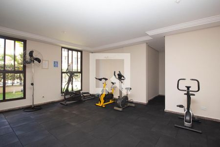 Apartamento para alugar com 60m², 2 quartos e 1 vaga Apartamento para alugar com 60m², 2 quartos e 1 vagaAcademia