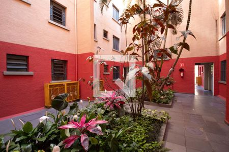 Fachada do bloco de apartamento para alugar com 2 quartos, 50m² em Conceição, Osasco