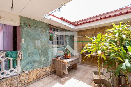 Casa para alugar com 250m², 3 quartos e 2 vagasQuintal
