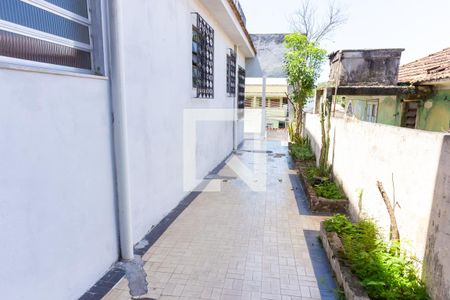 Casa para alugar com 128m², 3 quartos e 2 vagasQuintal