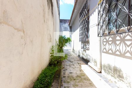 Casa para alugar com 128m², 3 quartos e 2 vagasQuintal