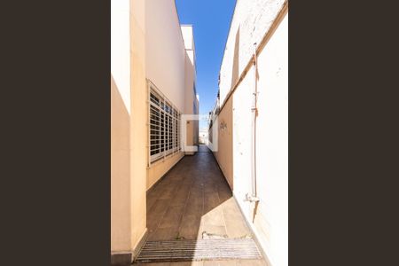 Casa à venda com 300m², 3 quartos e 4 vagasQuintal 