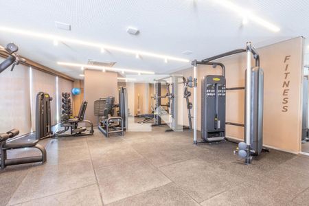 Área comum - Academia de apartamento à venda com 4 quartos, 377m² em Vale do Sereno, Nova Lima