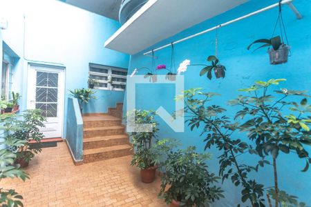 Casa à venda com 400m², 8 quartos e 4 vagasQuintal - casa 4