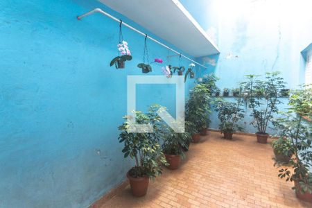 Casa à venda com 400m², 8 quartos e 4 vagasQuintal - casa 4