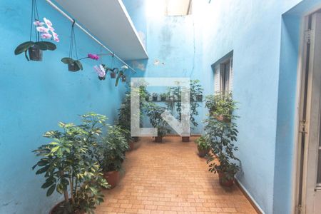 Casa à venda com 400m², 8 quartos e 4 vagasQuintal - casa 4