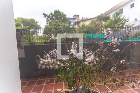 Casa à venda com 400m², 8 quartos e 4 vagasVista sala de estar - casa 3