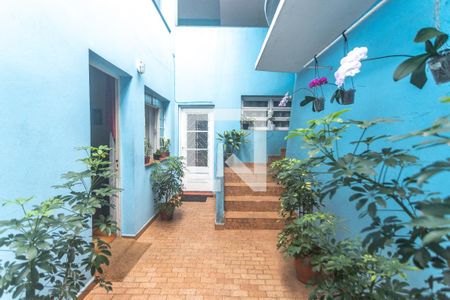 Casa à venda com 400m², 8 quartos e 4 vagasQuintal - casa 4