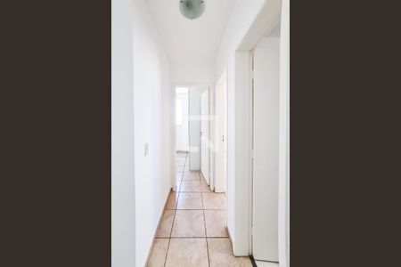 Corredor de apartamento para alugar com 2 quartos, 54m² em Castelo, Belo Horizonte