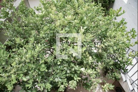 Casa para alugar com 448m², 7 quartos e 2 vagasVista da Suíte 3