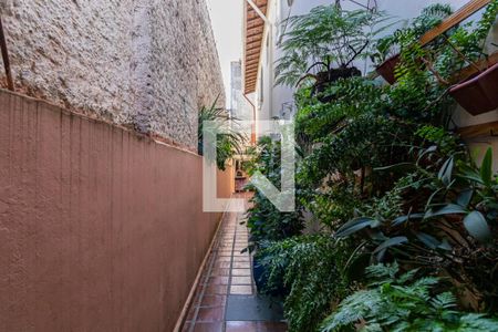 Casa à venda com 193m², 4 quartos e 2 vagas1o. Andar - Quintal e Churrasqueira