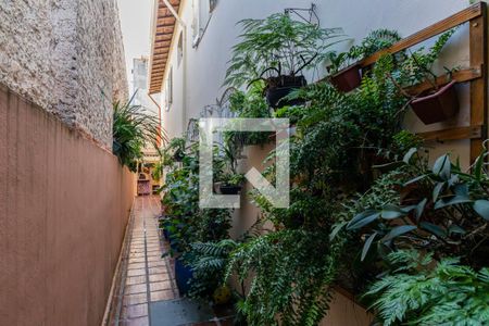 Casa à venda com 193m², 4 quartos e 2 vagas1o. Andar - Quintal e Churrasqueira