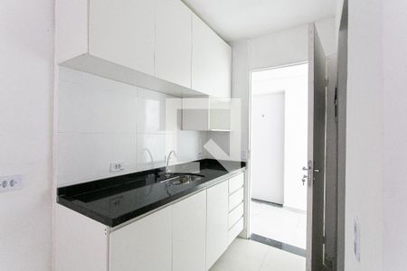 Cozinha de apartamento para alugar com 1 quarto, 22m² em Cidade Mãe do Céu, São Paulo
