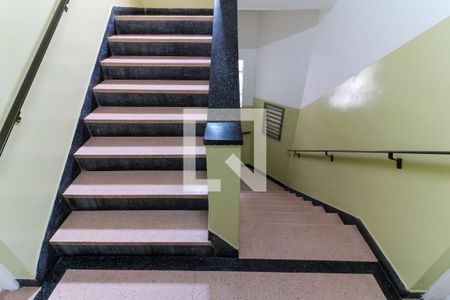 Escadas de Acesso ao Apartamento de apartamento para alugar com 2 quartos, 58m² em Jardim São Paulo(zona Norte), São Paulo