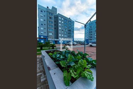 Apartamento para alugar com 56m², 2 quartos e 1 vaga Apartamento para alugar com 56m², 2 quartos e 1 vagaÁrea comum - Horta Comunitária