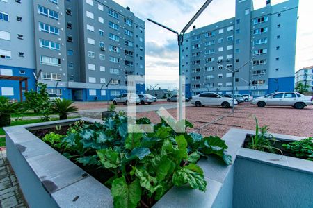 Apartamento para alugar com 56m², 2 quartos e 1 vaga Apartamento para alugar com 56m², 2 quartos e 1 vagaÁrea comum - Horta Comunitária