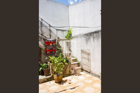 Casa à venda com 296m², 3 quartos e 6 vagasQuintal - Fundos