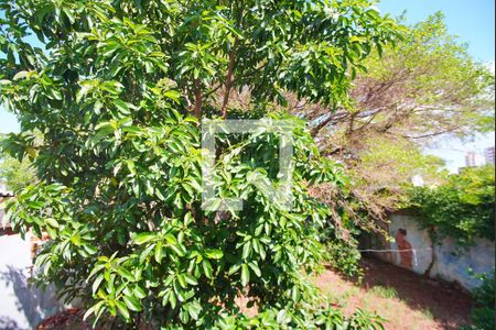 Casa à venda com 100m², 3 quartos e 1 vagaÁrea de Serviço_Vista 