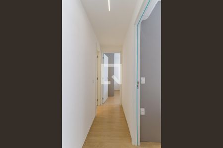 Corredor de apartamento para alugar com 2 quartos, 50m² em Vila Guilherme, São Paulo