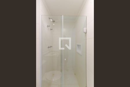 Banheiro da Suíte de apartamento para alugar com 2 quartos, 50m² em Vila Guilherme, São Paulo