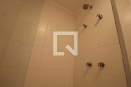 Banheiro da Suíte de apartamento para alugar com 2 quartos, 50m² em Vila Guilherme, São Paulo