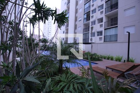 Apartamento para alugar com 50m², 2 quartos e 1 vagaÁrea comum - Piscina
