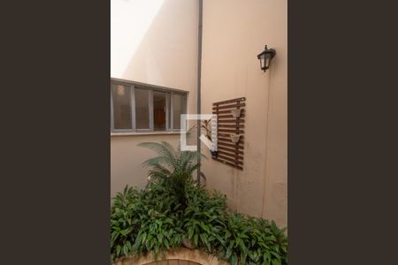 Area de Luz de casa à venda com 4 quartos, 308m² em Jardim Chapadão, Campinas