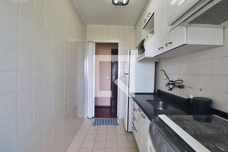Cozinha de apartamento para alugar com 2 quartos, 51m² em Parque das Nações, Santo André