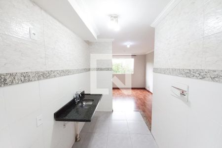 Cozinha e Área de Serviço de apartamento à venda com 2 quartos, 44m² em Santa Amelia, Belo Horizonte