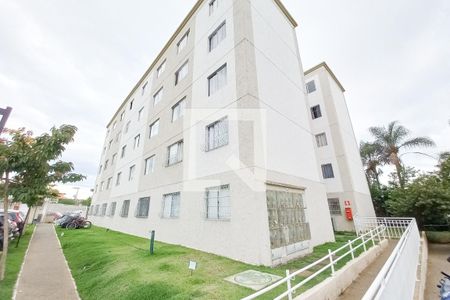 Fachada de apartamento à venda com 2 quartos, 44m² em Santa Amelia, Belo Horizonte