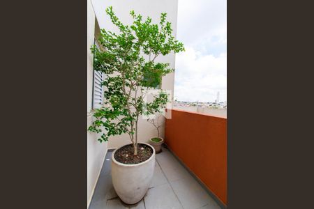 Apartamento à venda com 110m², 3 quartos e 2 vagasQuintal